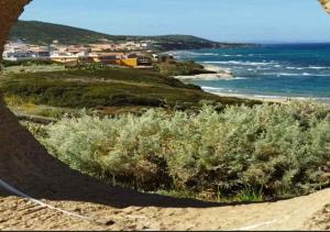 Apartment in Lu Bagnu 53787