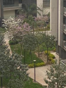 Madinaty private rooms