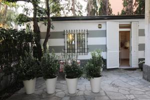 Appartamento con 2 Camere da Letto