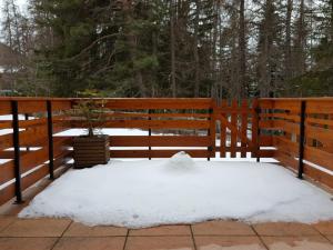 Appartements Studio RDC pour 4 personnes, terrasse 15m², local a ski, a 100m des pistes - La Joue du Loup - FR-1-504-520 : photos des chambres
