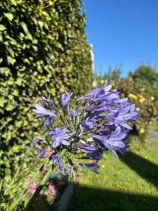 PataGo! Sea&Sand - Rawson