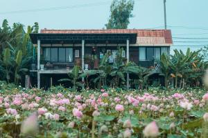 Pomelo Outpost Cambodia ដំណាក់ភ្នំក្រោម