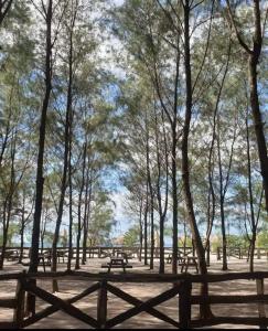 Beach front deluxe room with bathroom - Modern Cabin Shiloh 2