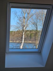 Ferienhaus am See mit Sauna