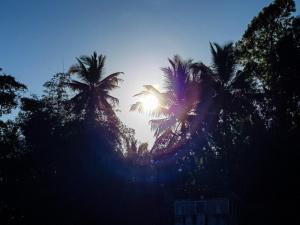 Lush Breeze Mount View