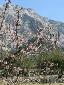 Villa in a quiet area - Private Pool - Sport - Starlink - BBQ