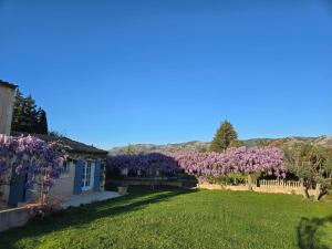 Luboregard