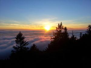 Gasthof Pension Gregori