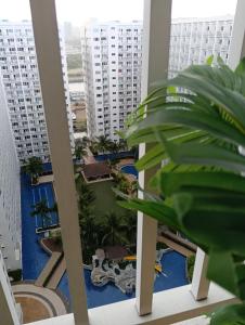 Shore residences tower A