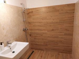 Piata Victoriei Studio SANAD