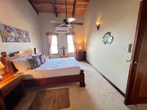 Indigo Belize 5C condo