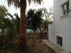 Pantazis Studios