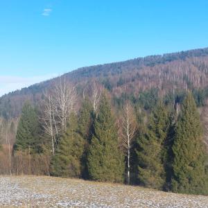 Chata pod Jelenim Skokiem