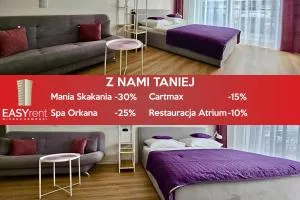 EASY RENT Apartments- Business Center 101 - Dąbrowica