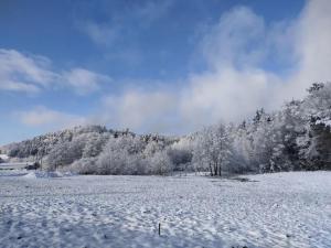 Appartements Charmant gite, au calme, avec vue imprenable sur la nature environnante : photos des chambres