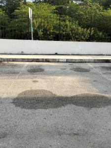 Apartment with a shared pool in a condominium