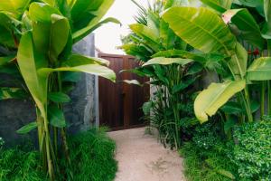 Mémé Villa Siargao