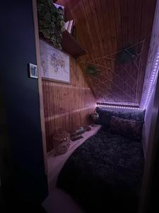 Le trésor des Caraïbes