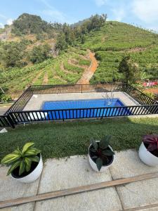 KiwiOz Villa