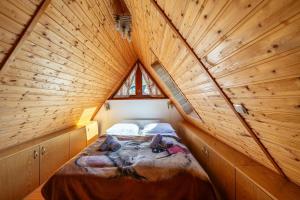 Why Not Apartamenty Rodzinne Kierpcówka