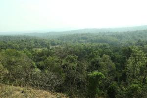 Hilltop Paradise