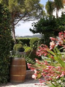 Maisons d'hotes A l'Oree Des Vignes : photos des chambres