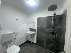 Casa Lupilor 2 Vidraru