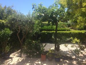 Appartements L-Oasis in Meze, : photos des chambres