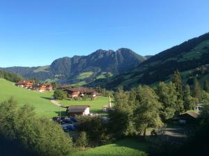 Beautiful Family Chalet in the heart of Inneralpbach