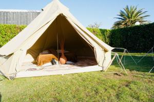 Campings Glamping Spot - Penmarch : Chambre Double