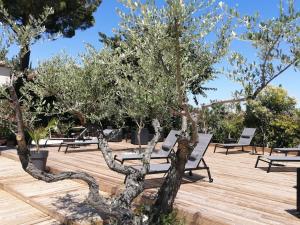 Maisons d'hotes A l'Oree Des Vignes : photos des chambres