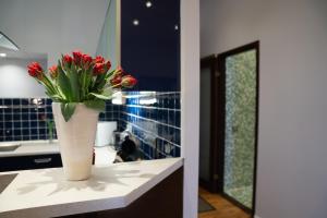 Rataskaevu 6 Apartment