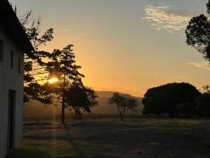 Olive Cottage at Rivierplaas