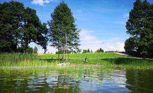 Ranczo Wyszowate Domki