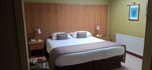 Double or Twin Room with Skylight Window Only room in Royal Court Hotel
