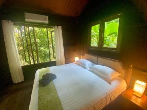 Singing Frogs Jungle Bungalow