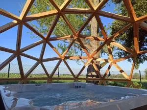 Gîte de charme et spa prés d'Albi , Au Mas de Bel Air - Saussenac