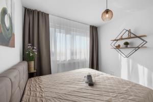 Sunny, Brand New, Luxury Apartment