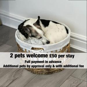 The Nest Superb Apartment In Afan Forest Bike Park By Staystaycations