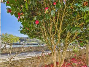 Maisons de vacances -Fisher- Maison lovee au port de Kerdruc : photos des chambres