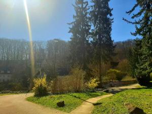 Die Malche Gäste und Tagungshaus 26