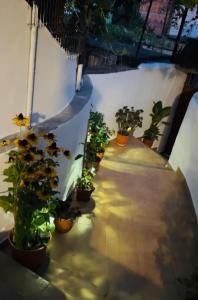 Valmira B&B - Town Center