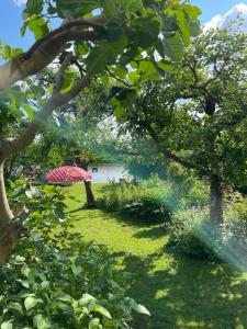 Ferienwohnung Ostegarten