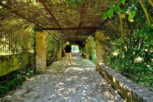 Portico Verde private Villa with pool | Corfu