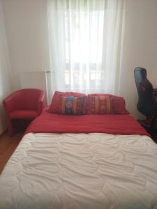 Appartements Appartement Confort centre ville Saint-Louis Acces Bale et Allemagne : photos des chambres