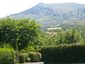 Aguerrea
