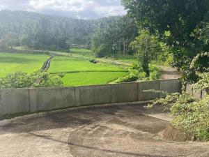 Hillside Pandan Guest Suite with WiFi & Netflix