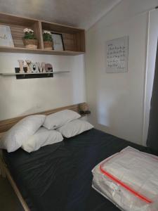 familys dream p16 la Marina de canet