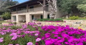 Odegos Affittacamere Maliconca - Cursi