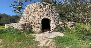 Odegos Affittacamere Maliconca